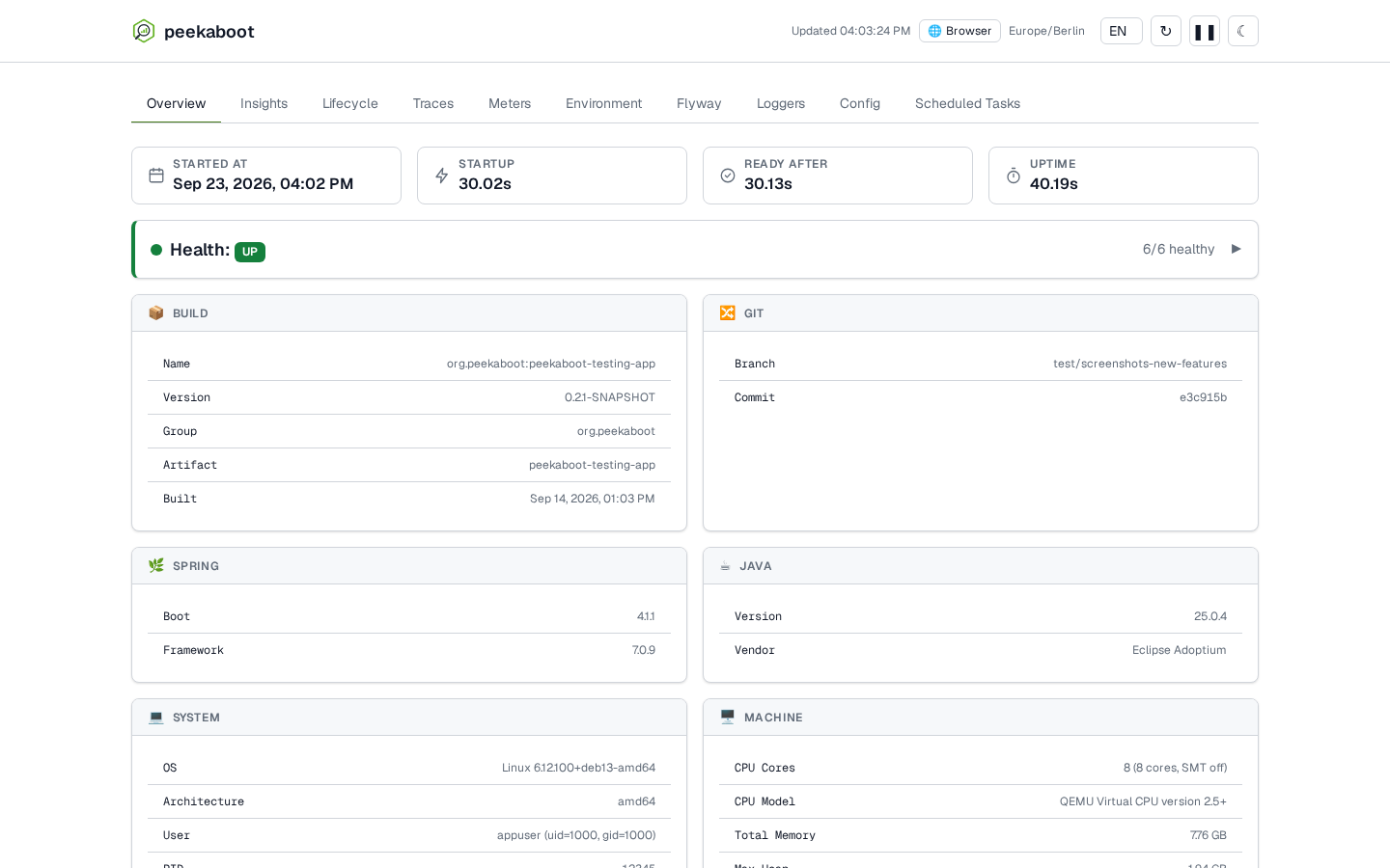 The Peekaboot dashboard's Overview tab, showing Build, Git, Spring, Java, System, JVM Defaults and Datasource cards for a running application
